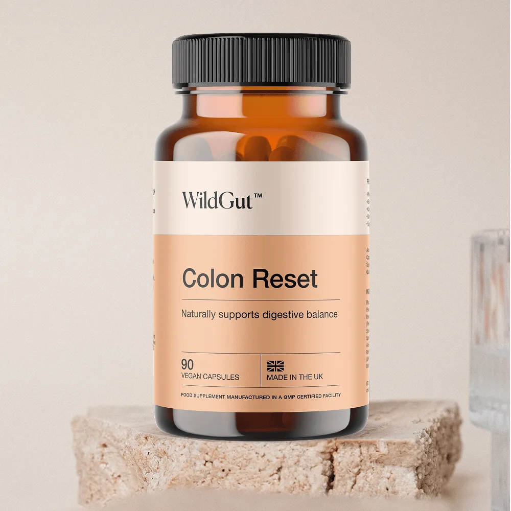 WildGut Colon Reset on stone surface